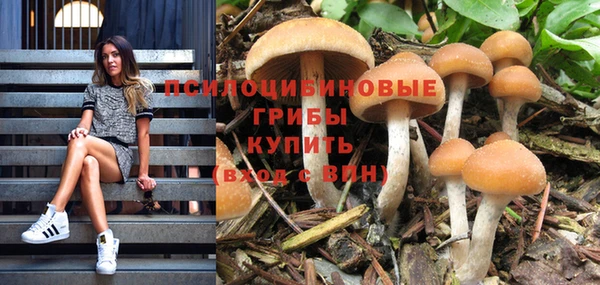 индика Армянск