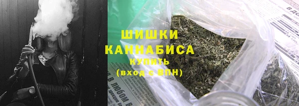 spice Аркадак