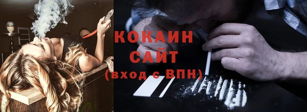 индика Армянск