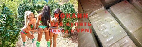 индика Армянск