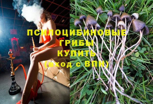 spice Аркадак