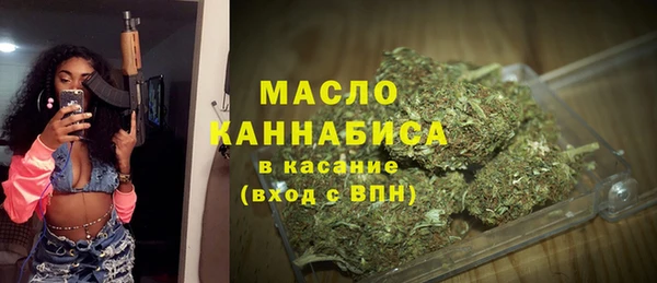 индика Армянск